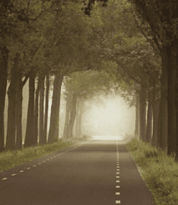 Road we travel
