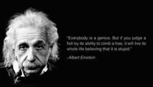 einstein shadow consulting