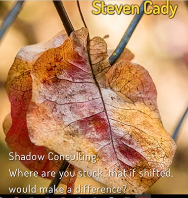 Shadow Consulting: Does It Really Work? - Marcella Bremer Dot Com