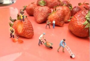 strawberries
