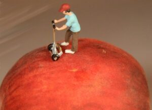 apple with mower
